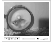 Wie ein Hamster im Rad